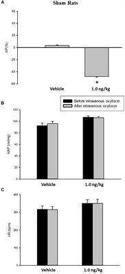 Oxytocin Reduces Intravesical Pressure in Anesthetized Female Rats: Action on Oxytocin Receptors of the Urinary Bladder